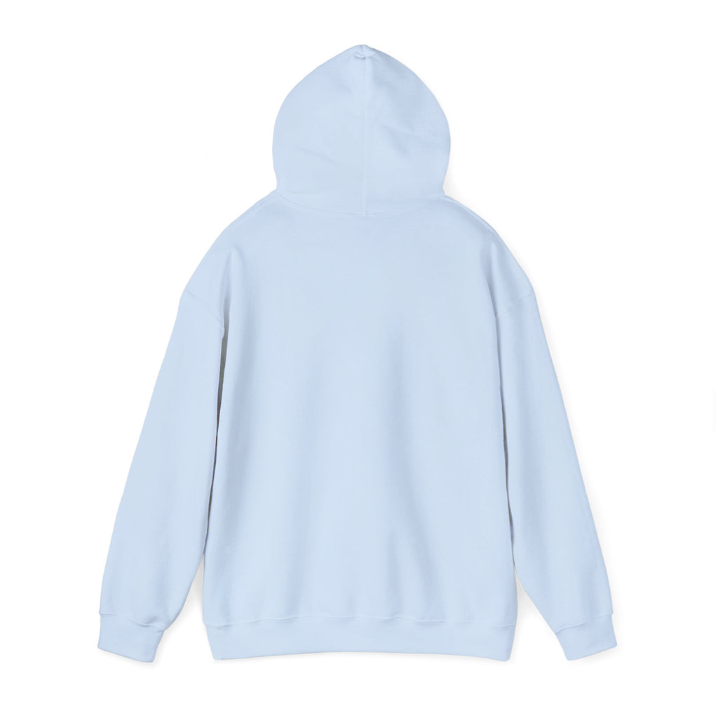 Adventure Awaits Hoodie