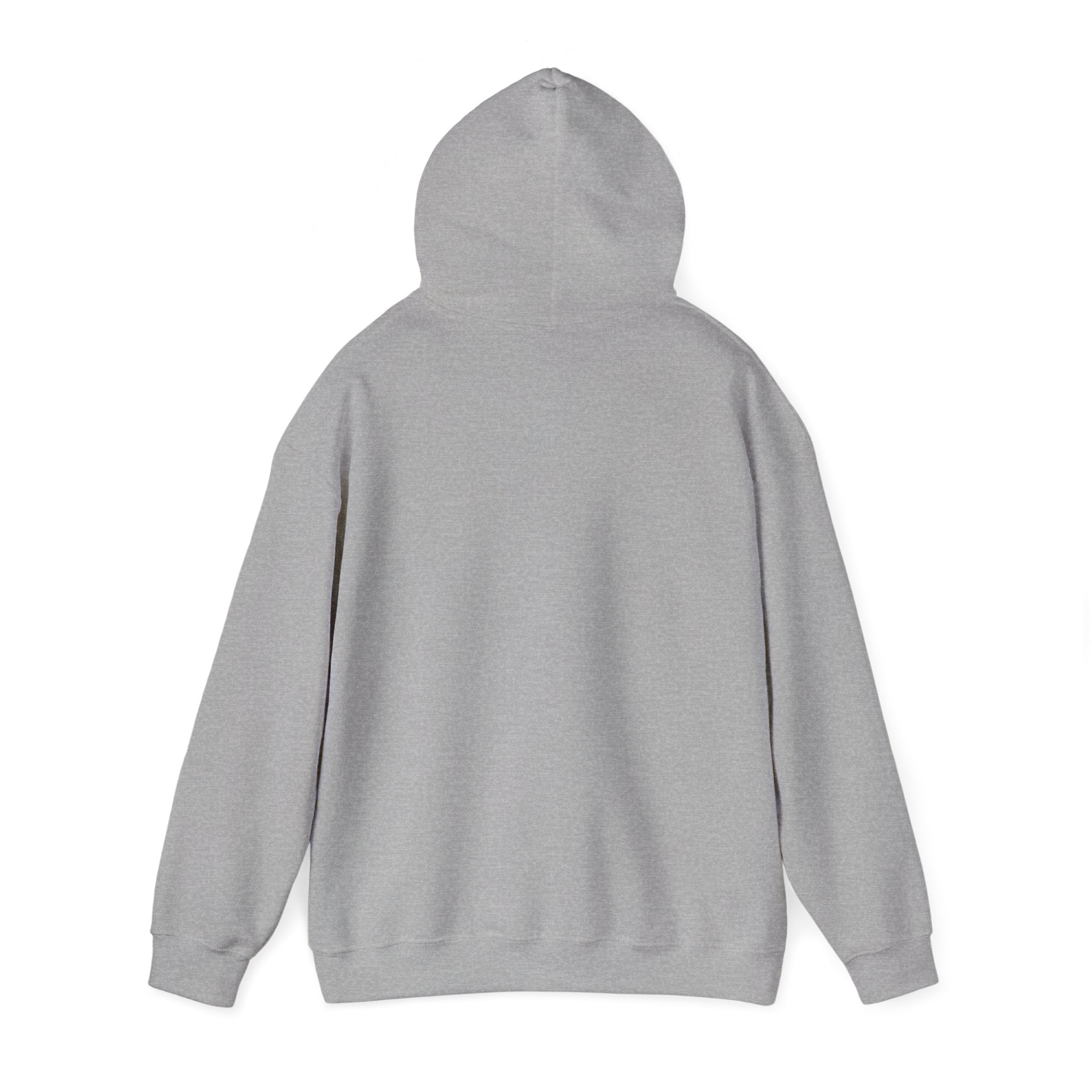Adventure Awaits Hoodie
